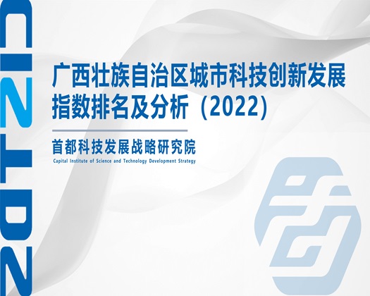 操逼黄色操逼影片【成果发布】广西壮族自治区城市科技创新发展指数排名及分析（2022）